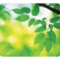 Fellowes tapis de souris earth, motif: océan, rectangulaire