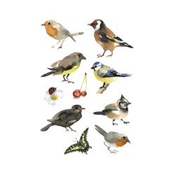 Herma sticker decor "oiseaux aquarelle"