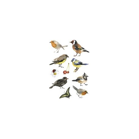Herma sticker decor "oiseaux aquarelle"