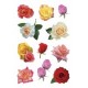Herma stickers decor "roses"