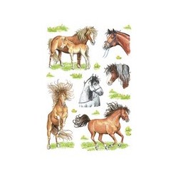 Herma sticker decor "chevaux dessinés"