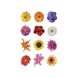 Herma autocollant de décoration "fleurs impression argentée"