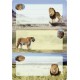 Herma Étiquettes pour livres "animaux africains", 76 x 35 mm