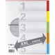Pagna intercalaire en carton, format a4, 10 positions, extra