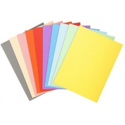 Exacompta chemises forever 180, a4, couleurs assorties