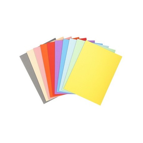 Exacompta chemises forever 180, a4, couleurs assorties