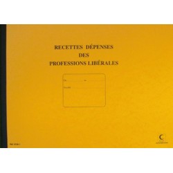 Elve piqûre "recettes/dépenses" professions libérales