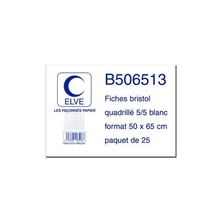 Elve fiches bristol quadrillées 5/5, 500 x 650 mm, 25 fiches