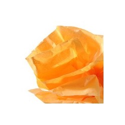 Canson papier de soie, 0,5 x 5,0 m, 20 g/m2, orange
