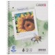 LandrÉ cahier "recycling" a5+, quadrillé, 80 feuilles