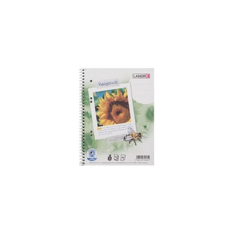 LandrÉ cahier "recycling" a5+, quadrillé, 80 feuilles