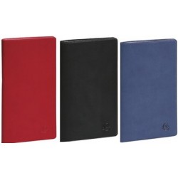 Exacompta agenda de poche "exaplan 17", 2021, winner (LOT DE 5)