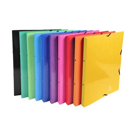 Exacompta classeur à anneaux iderama, 2 anneaux, a4, assorti (LOT DE 20)