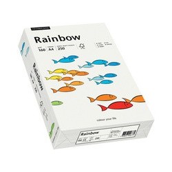 Papyrus papier multifonction rainbow, a4, saumon