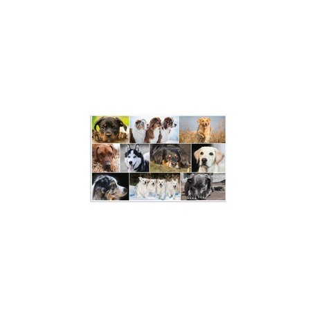Herma sous-main "chiens", (l)550 x (h)350 mm