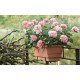 Emsa bac à fleurs aqua comfort lago, (l)750 mm, terracotta