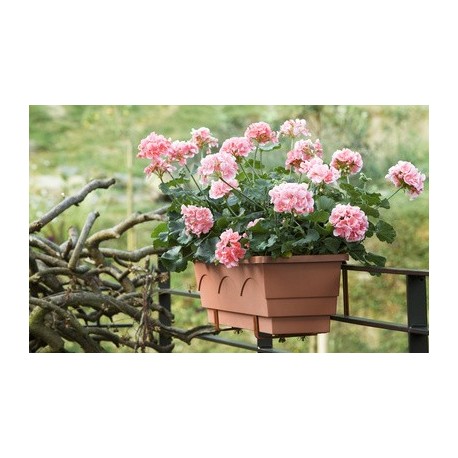 Emsa bac à fleurs aqua comfort lago, (l)750 mm, marron