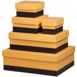 Rhodia kit de 5 boîtes de rangement, en similicuir, noir