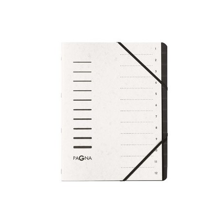 Pagna trieur "sorting file", 12 compartiments, gris