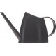 Emsa arrosoir fuchsia, capacité 1,5 l, anthracite
