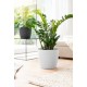Emsa bac à fleurs casa cosy, diamètre : 360 mm, blanc