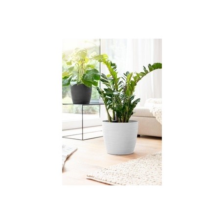 Emsa bac à fleurs casa cosy, diamètre : 360 mm, blanc