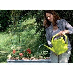 Poétic arrosoir 6 litres, vert anis