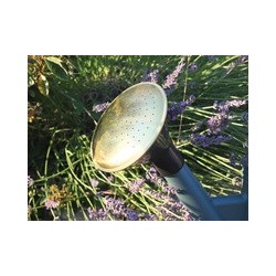 Poétic pomme d'arrosage de rechange pour arrosoir de 6 l