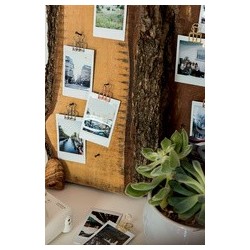 Knorr prandell clip décoratif, largeur: 18 mm, présentoir