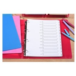 Avery intercalaires mylar, mensuel, 12 touches, carte, a4+ (LOT DE 20)