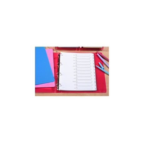 Avery intercalaires mylar, mensuel, 12 touches, carte, a4+ (LOT DE 20)