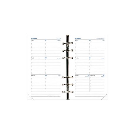 Quo vadis recharge timer 17 horizontal 2022/2023, 16 mois