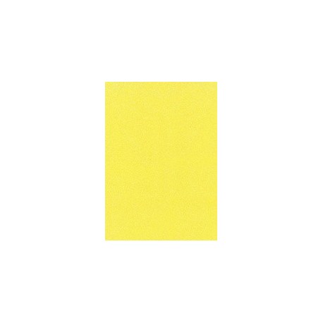 Heyda carton à paillettes "fluo", a4, 200 g/m2, vert (LOT DE 10)