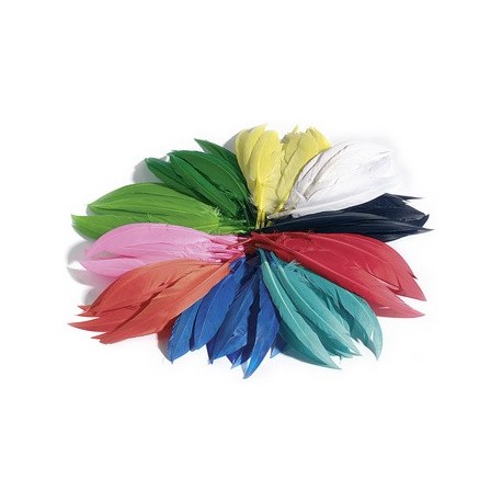 Folia plumes d'indiens, 100 g, assorti