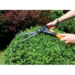 Garten primus cisaille à buis, grand, longueur: 435 mm