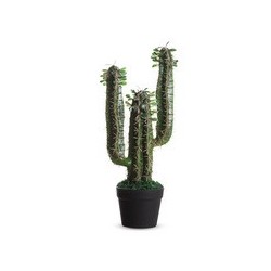 Paperflow plante artificielle "cactus", hauteur : 600 mm