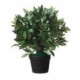 Paperflow plante artificielle "laurier", hauteur : 1.650 mm
