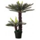 Paperflow plante artificielle "cycas", hauteur : 800 mm