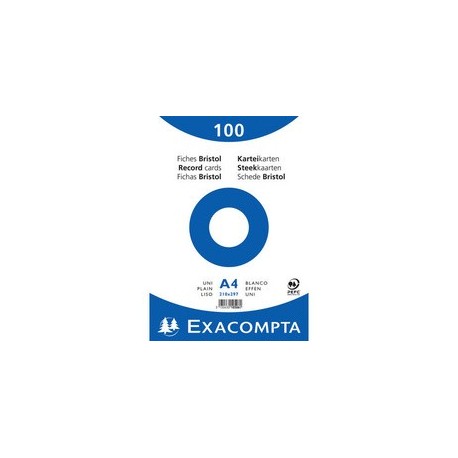 Exacompta fiches bristol, a4, quadrillé, rose (LOT DE 10)