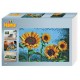 Hama perles à repasser art "tournesols", boîte cadeau