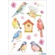 Herma autocollants decor "oiseaux chanteurs"
