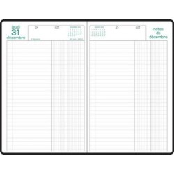 Exacompta agenda de bureau raisin, 2024, assorti
