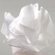 Canson papier de soie, 0,5 x 5,0 m, 20 g/m, beige