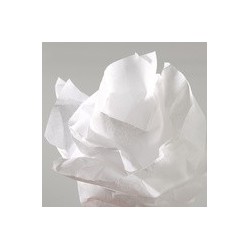 Canson papier de soie, 0,5 x 5,0 m, 20 g/m, beige