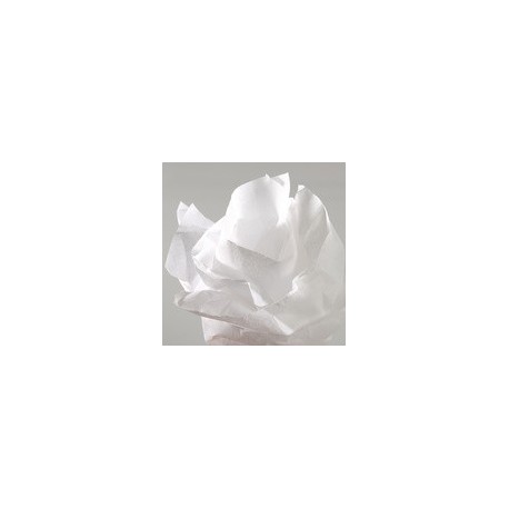 Canson papier de soie, 0,5 x 5,0 m, 20 g/m, beige